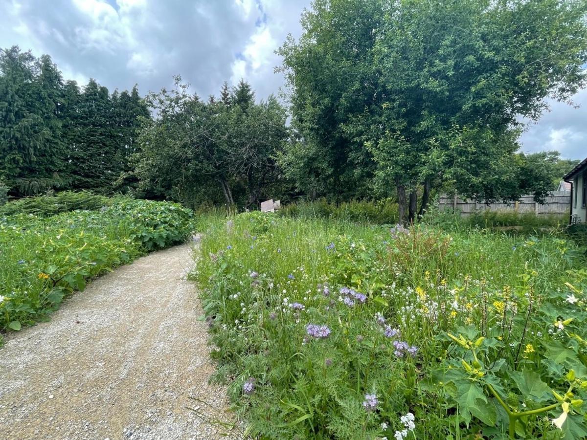 The Bearded Goat Den - A Rural Retreat At This Modern Holiday Cottage Saint Leonards Luaran gambar