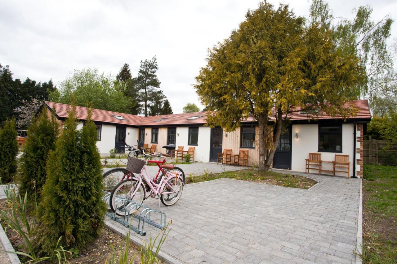 The Bearded Goat Den - A Rural Retreat At This Modern Holiday Cottage Saint Leonards Luaran gambar