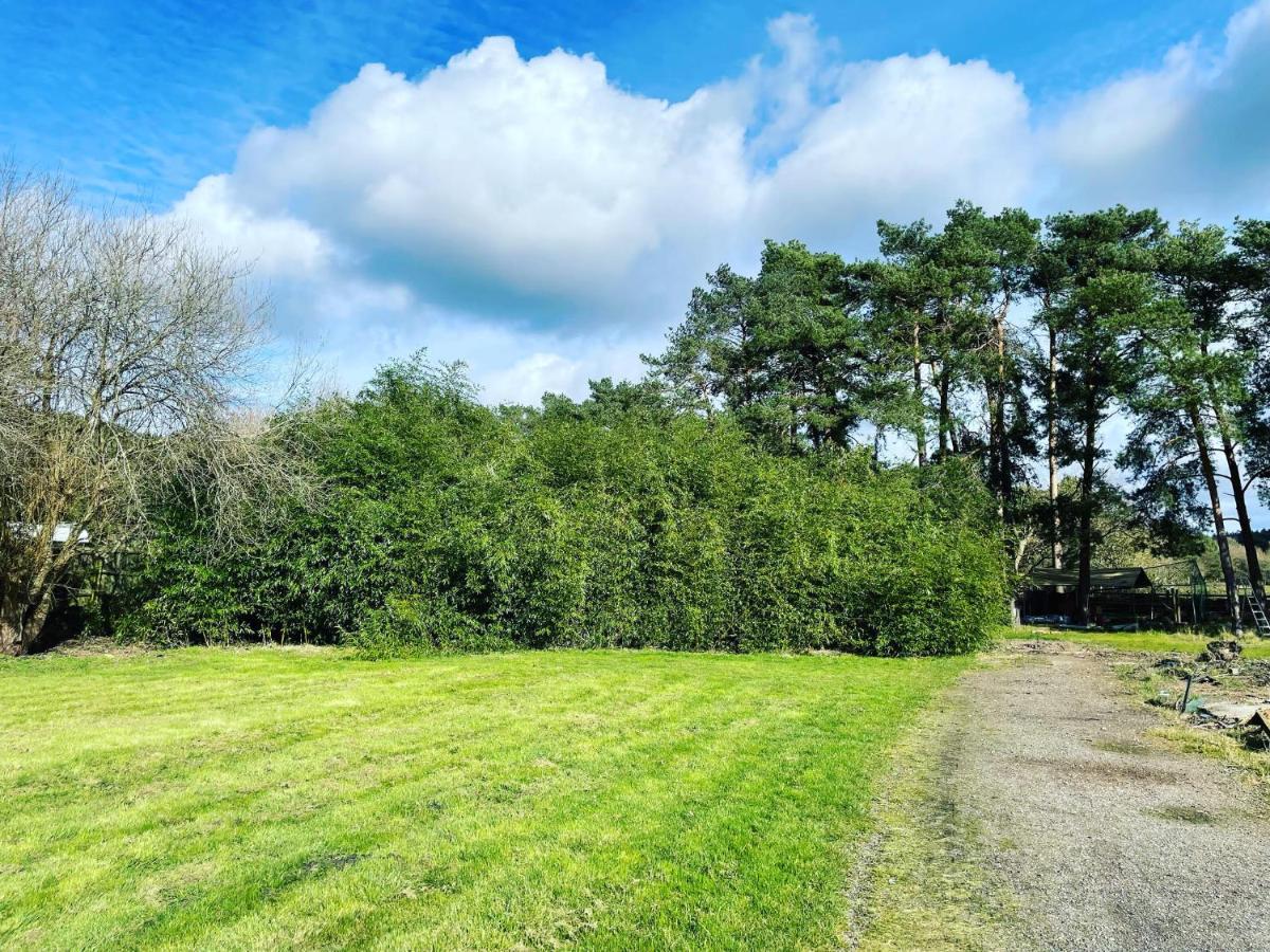 The Bearded Goat Den - A Rural Retreat At This Modern Holiday Cottage Saint Leonards Luaran gambar