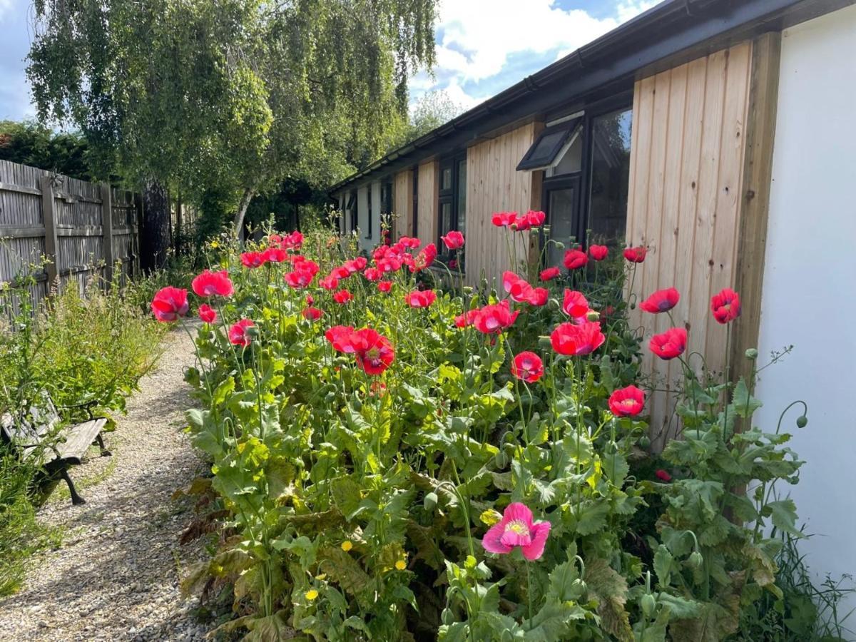 The Bearded Goat Den - A Rural Retreat At This Modern Holiday Cottage Saint Leonards Luaran gambar